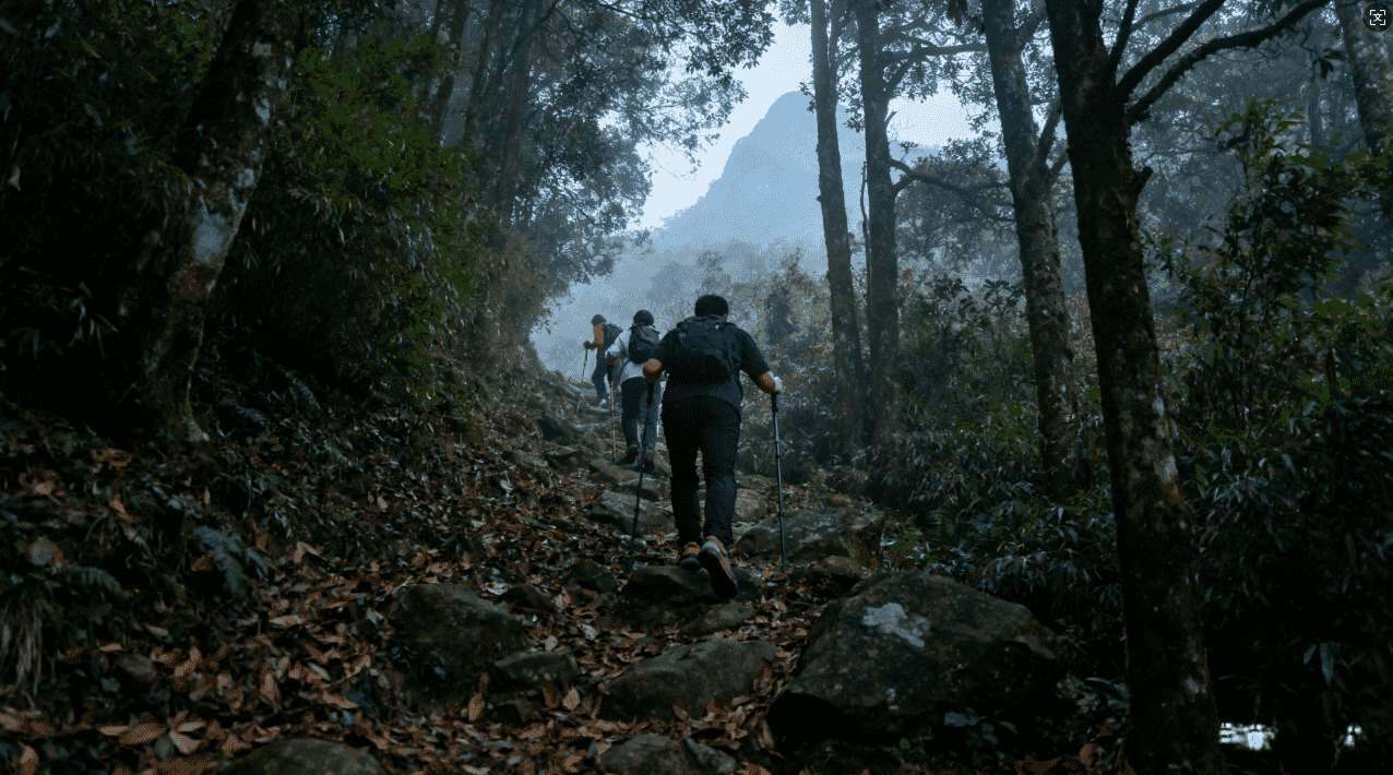 轻蜂加速器免费版功能介绍